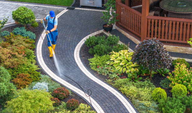 Best Pressure Washing Company Near Me  in Roebling, NJ