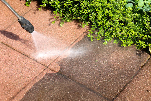 Best Affordable Pressure Washing  in Roebling, NJ